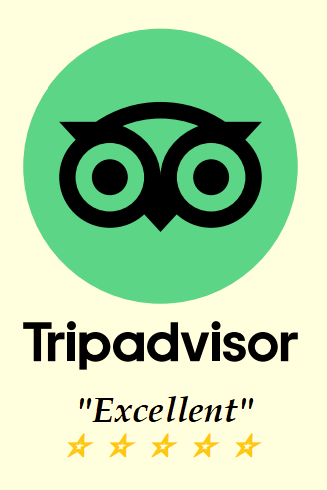 Trip Advisor logo